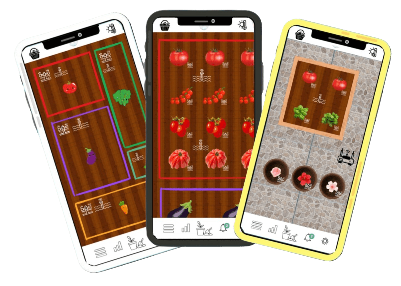 Picture of the author